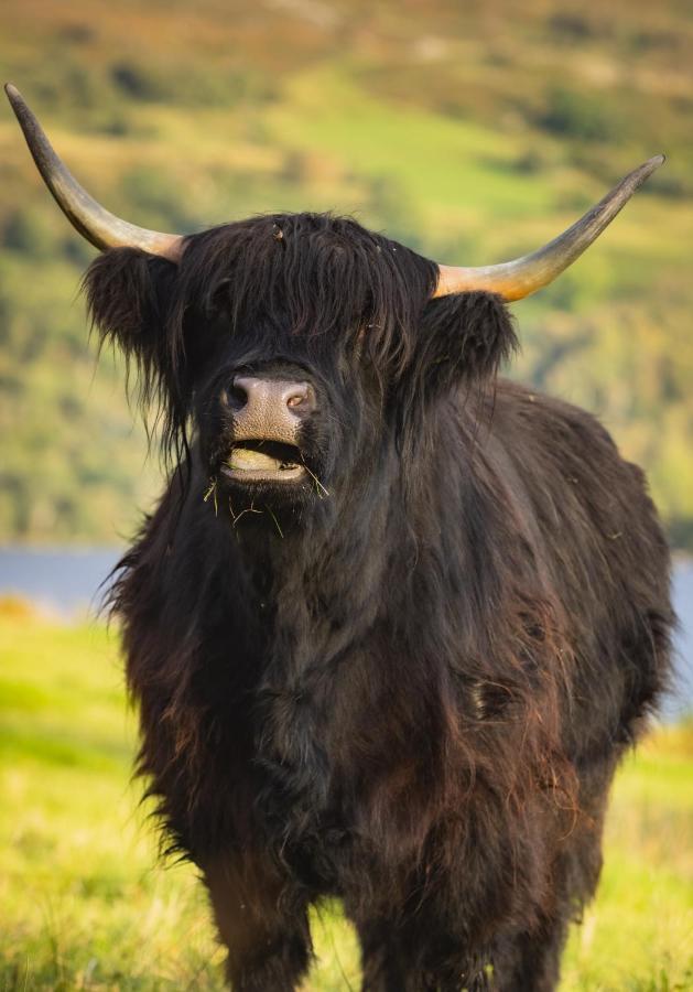 פורט אוגוסטוס Loch Ness Cottage מראה חיצוני תמונה